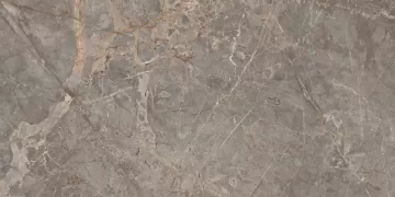 74316 Miltonia Realistik 
 серый