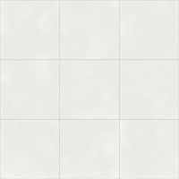 Керамогранит Vienna White Natural R10 59.2х59.2