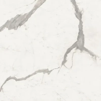 Керамогранит PF60004198 Sensi Up Statuario Versilia Lux+ 120x120