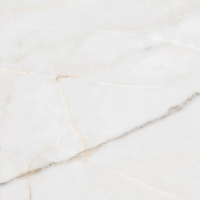 Керамогранит Essenza PW R 80x80