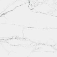 Керамогранит K951837LPR01VTET CityMarble Статуарио Венато Лаппато R9 8мм 60x60