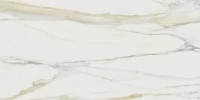 Керамогранит 753296 I Classici Calacatta Gold Matte Ret 60x120